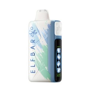 EB-BS1